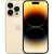 Gold/Vàng